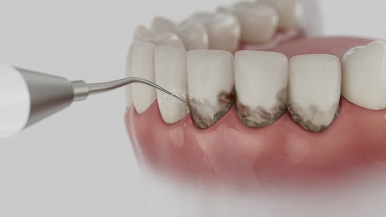 Reliable Dental contractor in Cleveland Heights, OH by Dentist Open Now
